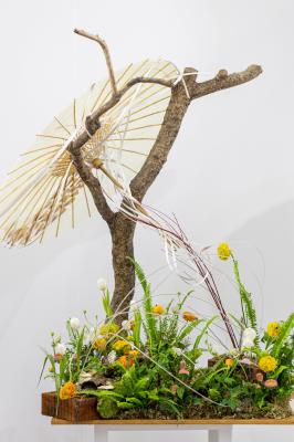 2021粤港澳大湾区深圳花展（园博园）