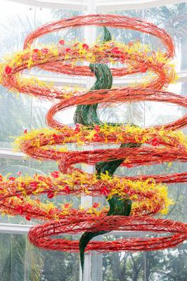 2021粤港澳大湾区深圳花展（园博园）