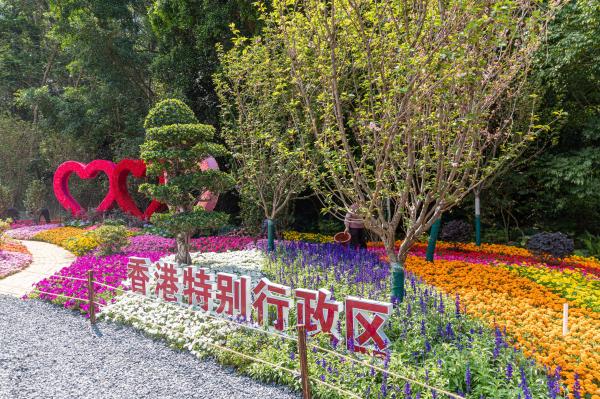 2021粤港澳大湾区深圳花展（仙湖植物园）