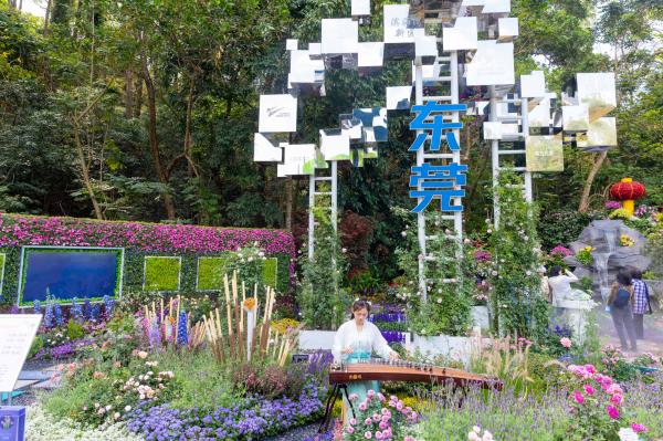 2021粤港澳大湾区深圳花展（仙湖植物园）