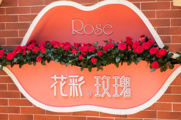 2021粤港澳大湾区深圳花展（仙湖植物园）