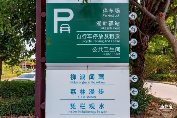 立新湖公园月季花海