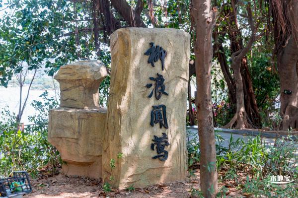 立新湖公园月季花海