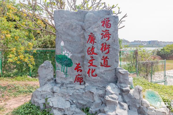 立新湖公园月季花海