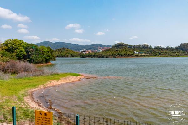 立新湖公园月季花海