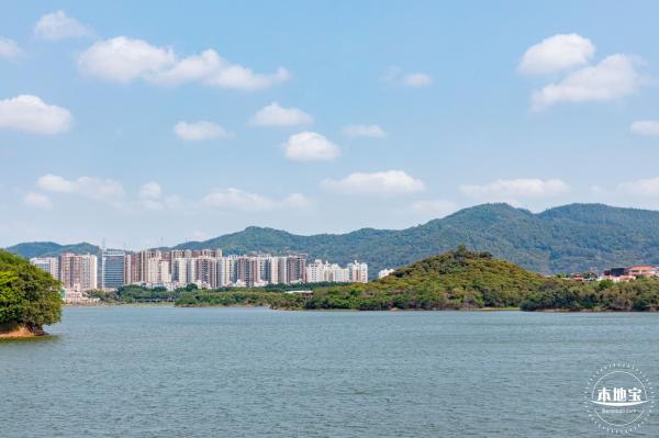立新湖公园月季花海