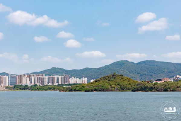立新湖公园月季花海