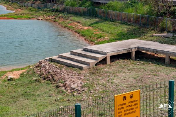 立新湖公园月季花海