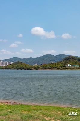 立新湖公园月季花海