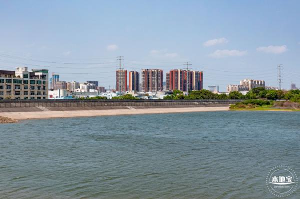 立新湖公园月季花海
