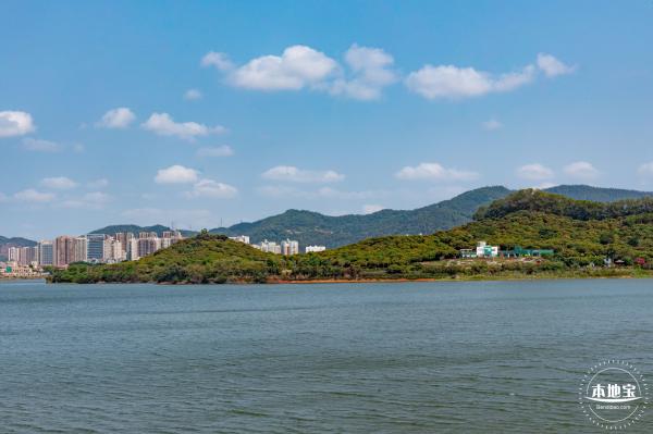 立新湖公园月季花海