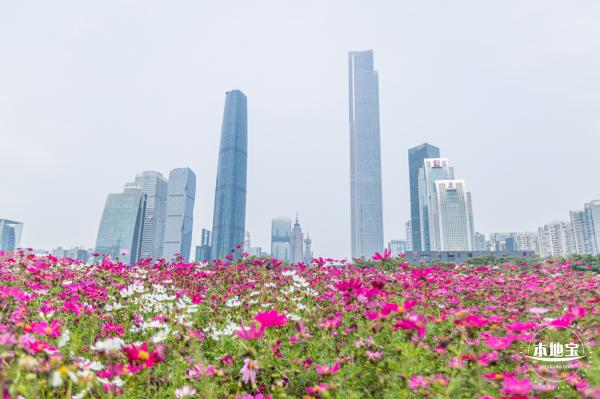 海心沙亚运公园花海