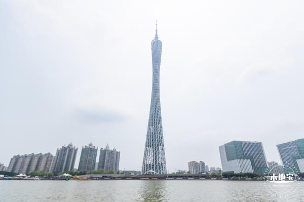 海心沙亚运公园花海