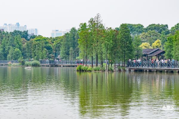 广州海珠国家湿地公园