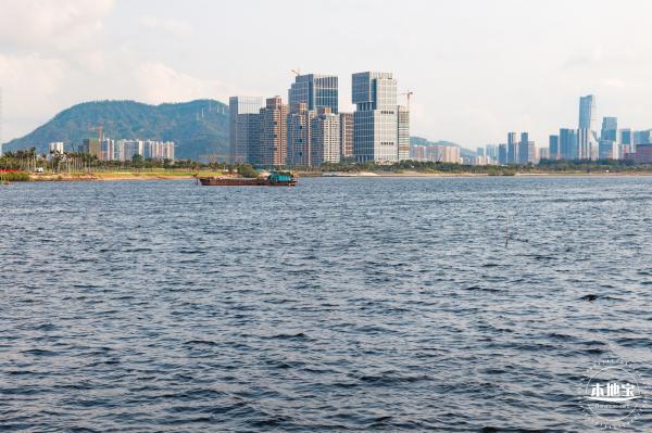 湾区之光