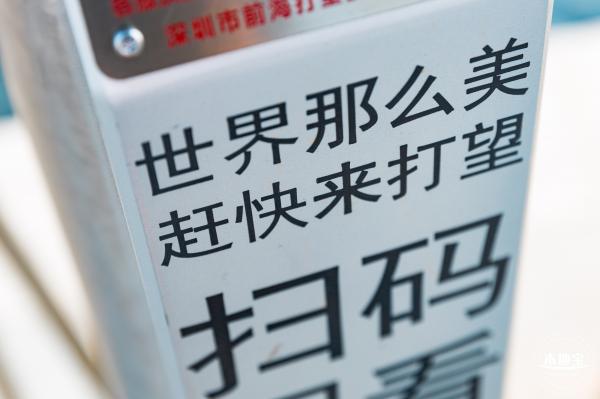 湾区之光