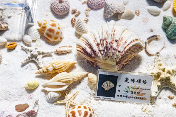 蛇口海洋科普馆