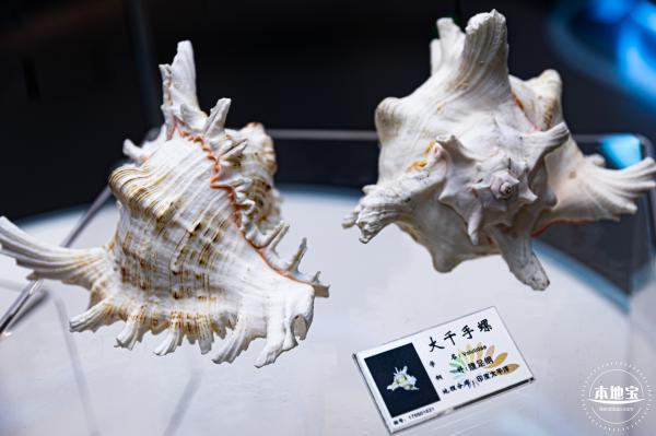 蛇口海洋科普馆