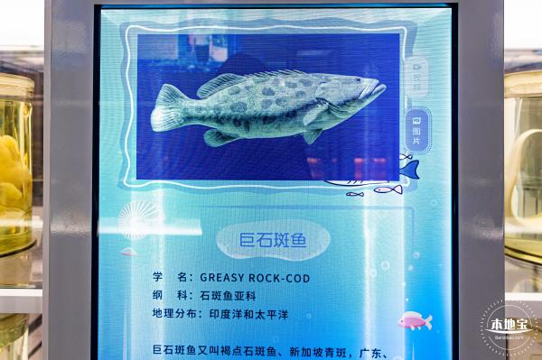 蛇口海洋科普馆