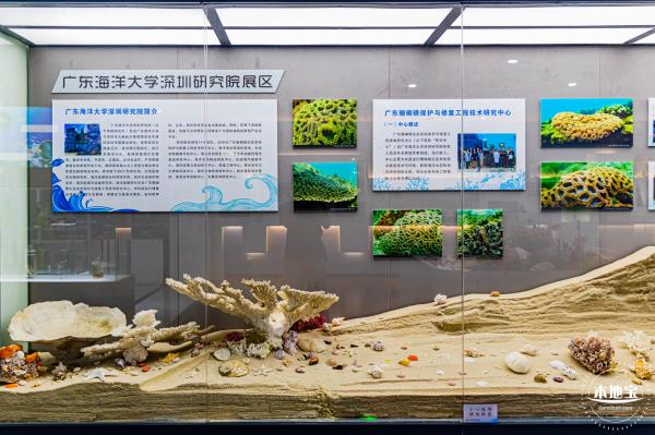 蛇口海洋科普馆