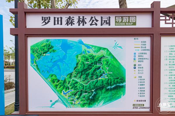 罗田森林公园