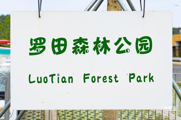 罗田森林公园