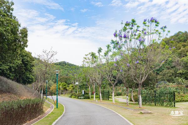 罗田森林公园