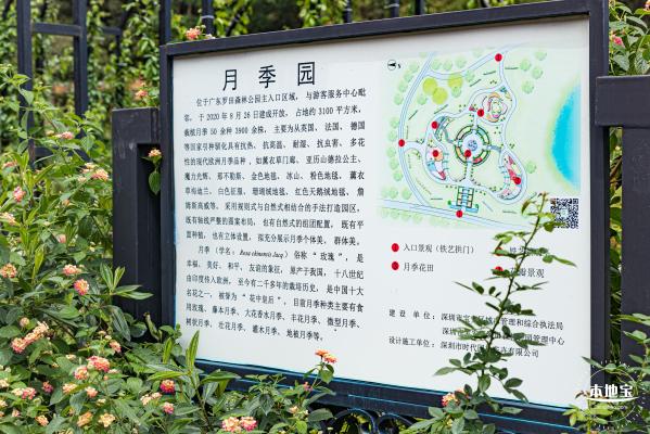 罗田森林公园