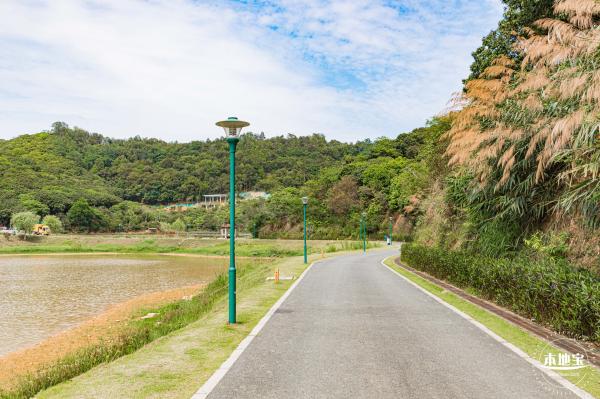 罗田森林公园