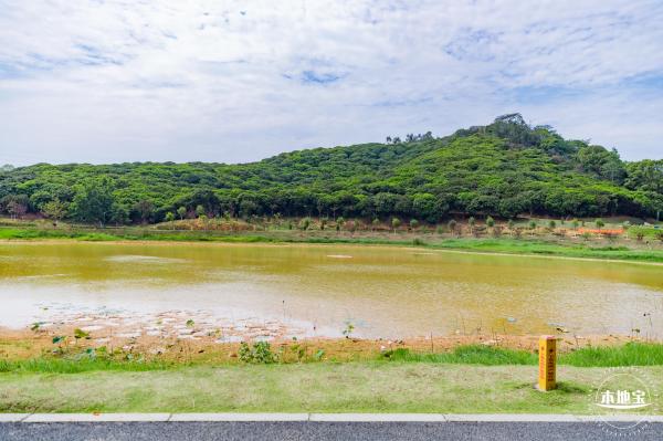罗田森林公园