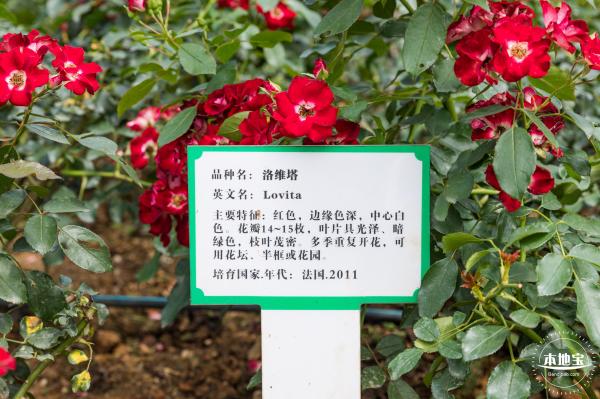 罗田森林公园
