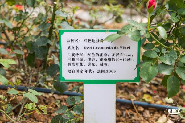 罗田森林公园