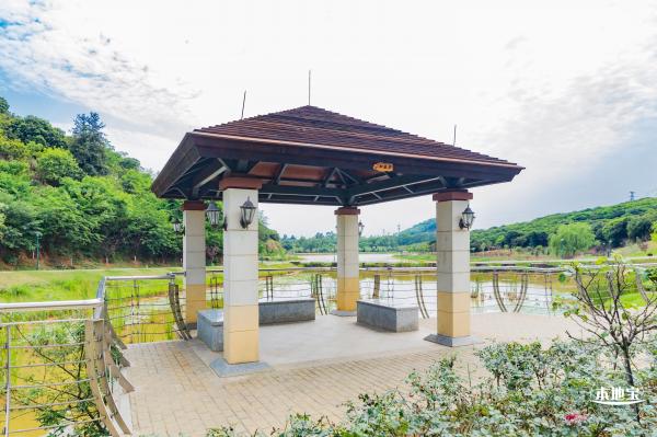 罗田森林公园