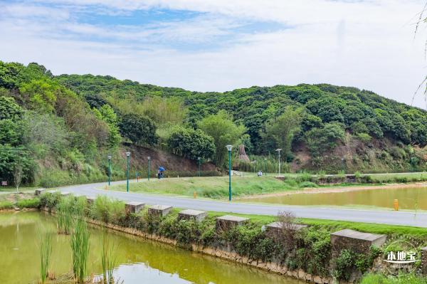 罗田森林公园