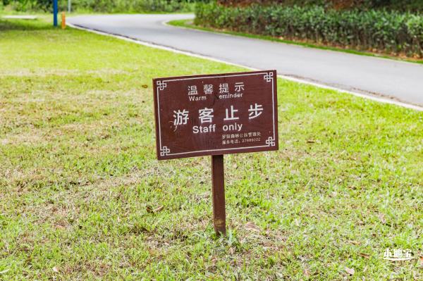 罗田森林公园