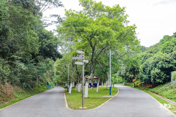 罗田森林公园