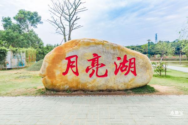 罗田森林公园