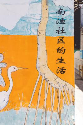 南渔村