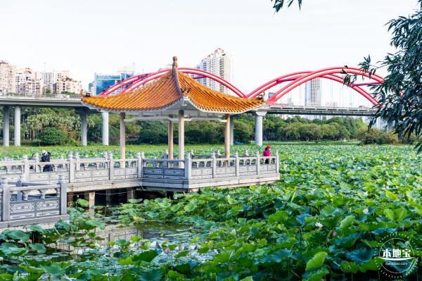 洪湖公园