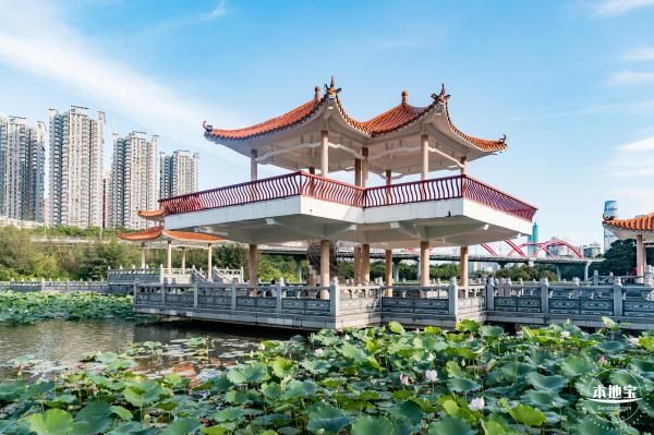 洪湖公园