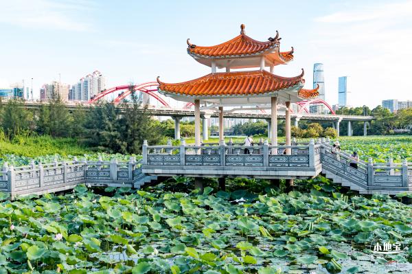 洪湖公园