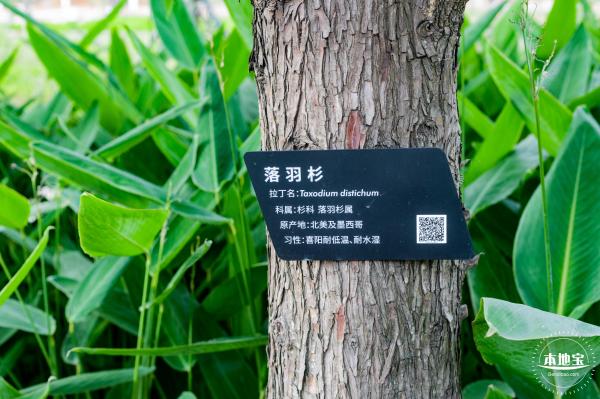 桂湾公园