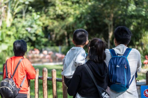 深圳野生动物园