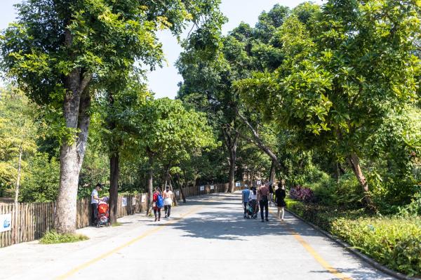 深圳野生动物园