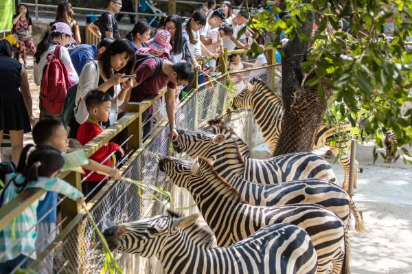 深圳野生动物园