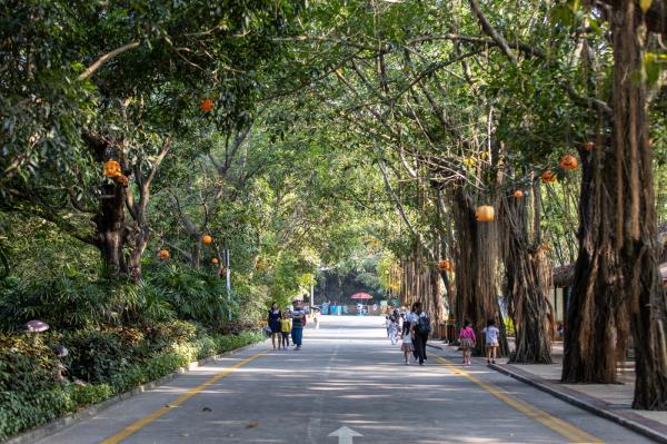 深圳野生动物园