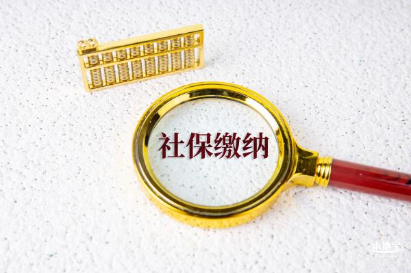 社保缴纳