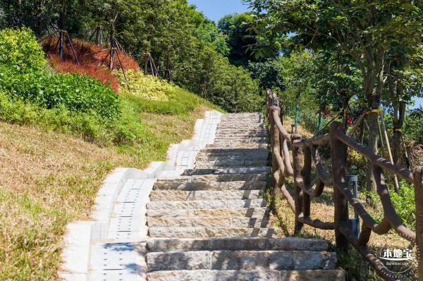 梅沙湾公园