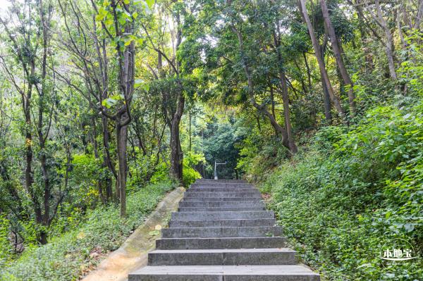 铁仔山公园
