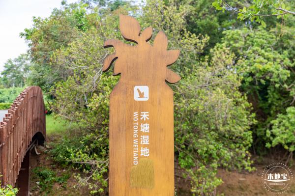禾塘湿地园2021
